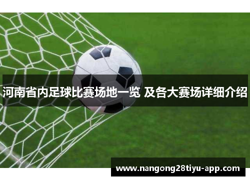 河南省内足球比赛场地一览 及各大赛场详细介绍